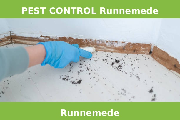 PEST CONTROL Runnemede